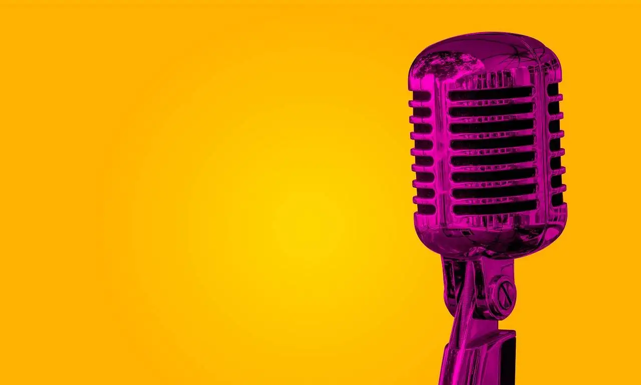 Unlocking the Potential of Reddy Anna ID: A Comprehensive Guide for Professionals and Enthusiasts